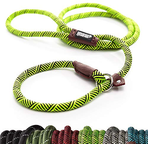 Friends Forever Extremely Durable Dog Rope Leash, Premium Quality Training Slip Lead, Reflective, Thick Heavy Duty, Sturdy, No Pull, Comfortable For The Strong Large Medium Small Pets 6 feet, Green
