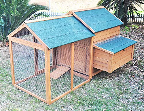 Zoopplier Winterfest Hühnerstall-wetterfest Hühnerhaus- XXL große Wachtelstall Gluckshaus mit Ausauf Kombi I massivem Holz-geeignet für 4-6 Hühner-auch als Entenstall Hasenstall