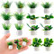TIESOME Lot de 14 Mini Objet Miniature Miniature Petite Plante Artificielle Fausse Plante Interieur Plantes Artificielles Interieur Decoration Maison Plante Artificielle Interieur Plantes Miniatures