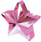 Ballongewicht Stern, Pink, 170g