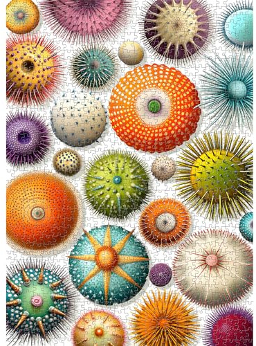 PICKFORU Colorful sea Urchin Puzzle 1000 Pieces for Adults