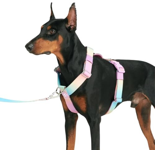 Spark Paws No Pull Hundegeschirr Grosse Hunde, Halterdesign mit Frontclip, Y Geschirr Hund, Robust und Strapazierfähig Harness für Große und Starke Rassen - Pastel Icing, S