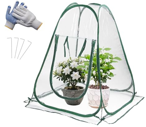 ASOFTY Gewächshaus 70x70x80cm, PVC Überwinterungszelt für Pflanzen mit Bodennägel, Handschuhe und Aufbewahrungstasche, Kleines Treibhaus für Gemüse, Blumen, und Topfpflanzen, Winterschutz Pflanzen