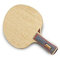 DONIC Appelgren Allplay Senso V1, Tischtennis-Holz, NEU, inkl. Lieferung