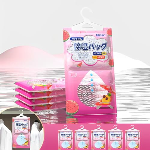 WTZWYFWJ 5 PCS Sacchetti Assorbi Umidità da Appendere Assorbono,Deumidificatore armadio Confezione,Sacchetti Assorbi Umidità da Appendere Assorbono Per Armadio, Casa, Assorbi Umidità In Armadi,Cucine