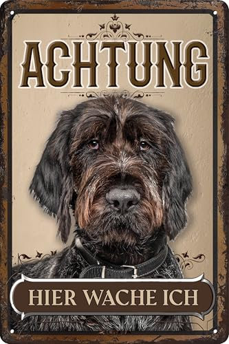 30 x 20 cm wetterfestes Blechschild, Warnhinweis, Torschild, Achtung, hier Wache ich! Warnung vor dem Hund (Deutsch Drahthaar)