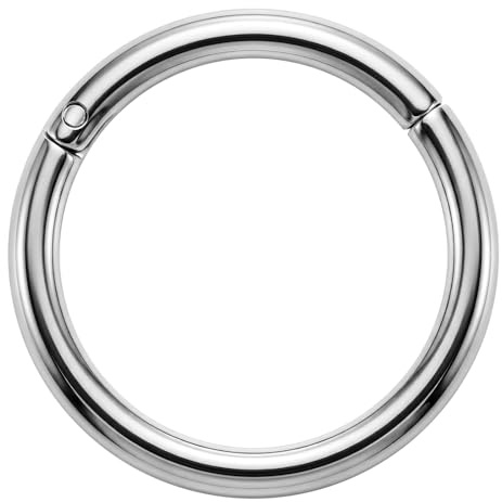 Nasenring aus 316L-Chirurgenstahl, 16 Gauge (1,2 mm), Scharniersegment-Piercing, Edelstahl