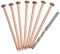 Tree Killer Nails, 4 Inch Copper Spikes for Removing Stumps and Roots, Essential Tool for Garden Care (15pcs)