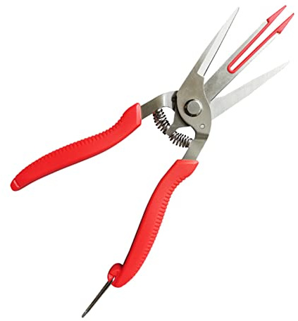 Kohlenstoffstahl Schmieden von Apfelbäumen, Birnbaumscheren, Doppelmaulscheren, Gartenscheren, Beschneidungswerkzeuge, Agricultu Handscheren, professionelle Handscheren, robuste, zweischneidige