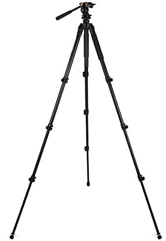 Celestron 82052 Regal Premium Tripod for Spotting Scopes, Binoculars, Cameras & Small Telescopes, Black