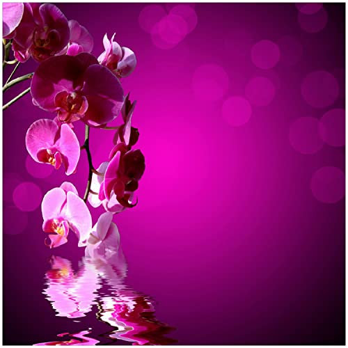Wallario Memoboard aus Glas mit Motiv, Magnet-Tafel in 50 x 50 cm in Premium Qualität Rosafarbene Orchidee Blüten in pink