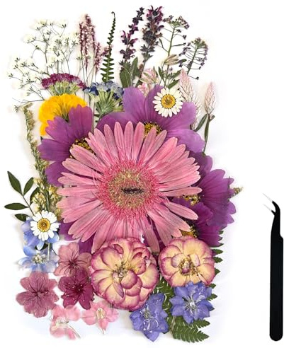 ZQmino Grandes fleurs séchées pressées A4 pour résine - Fleurs violettes pressées - Feuilles naturelles sèches pour la fabrication de gâteaux et de bougies - Étuis de téléphone, scrapbooking, loisirs