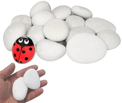 FEADBYT Ciottoli, pietre di fiume lucide, ciottoli lucidati, pietre da giardino bianche grandi, per paesaggistica, decorazione della casa, progetti artistici 4-8 cm, 1 kg (bianco, 4-8 cm)