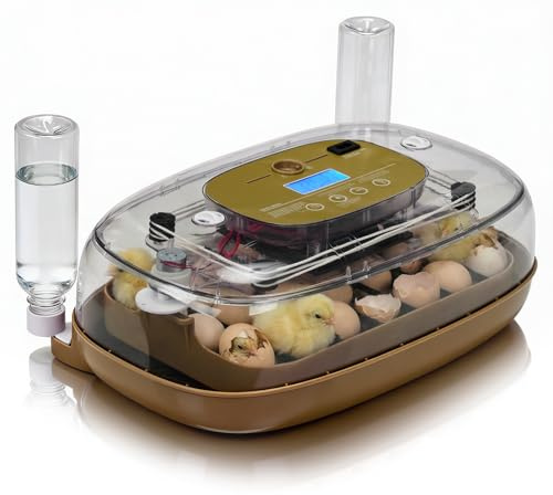 LEADZM Brutautomat Vollautomatisch,Inkubator Hühner 24 Eier mit Automatischem Eierwenden und Automatischer Wasserzugabe mit Temperatur Feuchtigkeitskontrolle