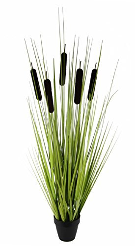 Rohrkolben im Grasbusch im Topf Kunst-Gras Künstliches Gras Ufergras Rohrkolben Stehgras Kunstpflanze Kunstgras Ziergras Kunstpflanzen Dekogras Grasbüschel Grasarrangement Kunstblumen Grünpflanze