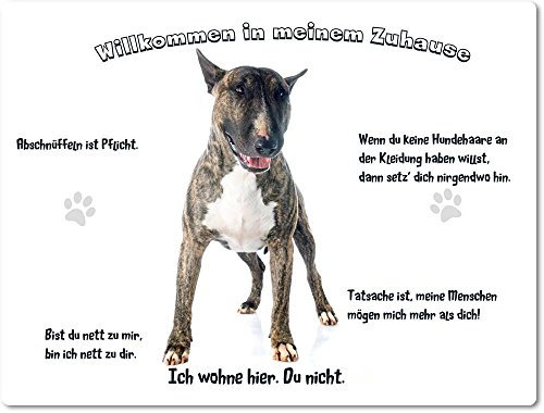 Merchandise for Fans Blechschild/Warnschild/Türschild - Aluminium - 30x40cm - - Willkommen in Meinem Zuhause - Motiv: Bullterrier Porträt - 02
