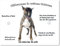 Merchandise for Fans Blechschild/Warnschild/Türschild - Aluminium - 30x40cm - - Willkommen in Meinem Zuhause - Motiv: Bullterrier Porträt - 02