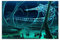 Subnautica Meeresboden Tiefsee Spiel Leinwand Poster Leinwand Poster Wandkunst Dekor Druck Bild Gemälde für Wohnzimmer Schlafzimmer Dekoration Rahmen Stil 50 x 75 cm