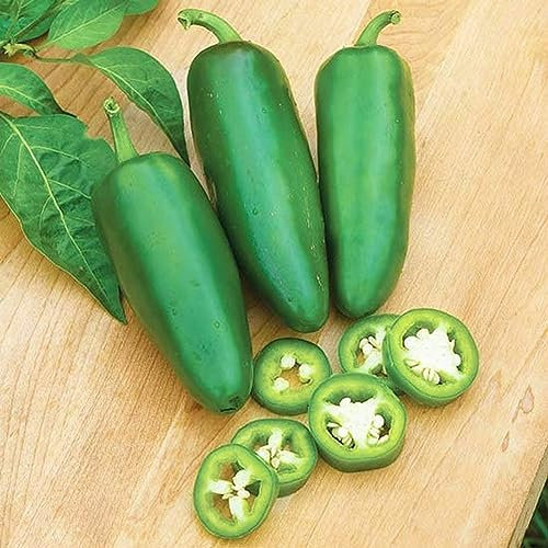 PERZOE 100 semi di peperoncino jalapeno caldo, orto, fattoria, cortile, decorazione bonsai semi di peperoncino