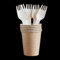 Venuscello 12 x Strong Disposable Cutlery Bagasse Forks Heavy Duty Bagasse Biodegradable White Eco-Friendly & Compostable