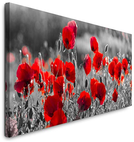 Paul Sinus Art GmbH Rote Mohnblumen im Feld 120x 50cm Panorama Leinwand Bild XXL Format Wandbilder Wohnzimmer Wohnung Deko Kunstdrucke