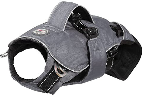 PETCUTE Haustier Rucksack Hundetragetasche,Verstellbare Brust Hunderucksack für Klein Hunde Katzen,Tragbare und Atmungsaktiv Haustier Tragetasche mit reflektierendem Band,Bis zu 15 kg,für Reisen