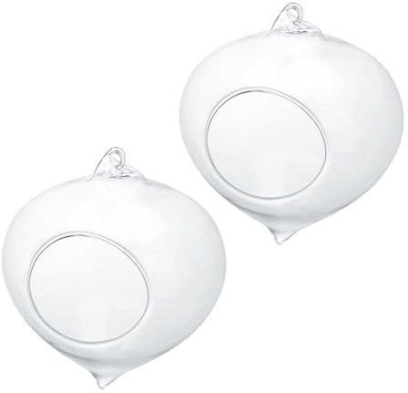 2 macetas de cristal para colgar en la pared, macetas de cristal para colgar plantas suculentas, jarrón de vidrio para decoración del hogar y el jardín
