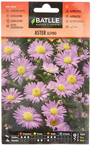 Semillas Batlle Aster Alpino