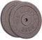 GYM MASTER Pair of Standard 1 Weight Plates in Cast Iron - 20kg