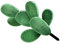 CAXUSD Panneau De Pelouse Forme Cactus Décoration Jardin Extérieur Sculpture Cactus