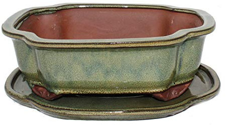 Exotenherz - Bonsai-Schale mit Unterteller Gr. 4 - Oliv-Braun - haitang/obal - Modell I4 - L 26cm - B 20,5cm - H 8,5cm