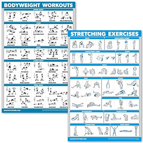 Palace Learning QuickFit Übungsposter-Set für Körpergewicht-Workouts und Dehnübungen, laminiert, 2 Diagramme, Körpergewicht-Übungen, Routine und Stretching-Workouts (45,7 x 68,6 cm)
