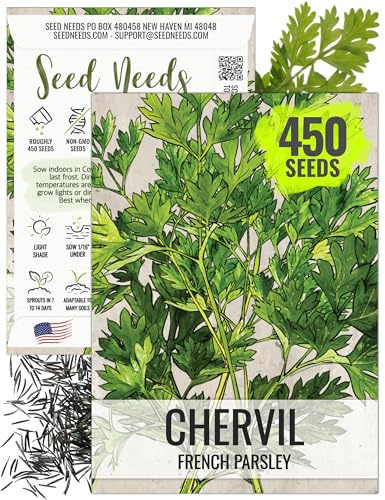 Seed Needs Chervil Seeds for Planting - Non-GMO, Heirloom & Untreated Annual Herbs - Grow an Indoor/Outdoor Garden Full of Culinary French Parsley (1 Pack)
