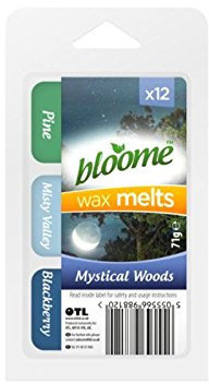 Wax Melts 12 Pack (Mystical Woods)