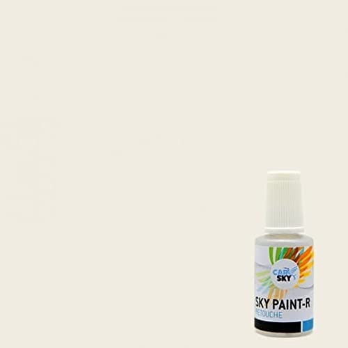 CARSKY Farbstift karosserieretusche kompatibel mitRal mat Blanc Pur 9010 (20 ml Pinselflasche) + klarlack matt (20 ml Pinselflasche)
