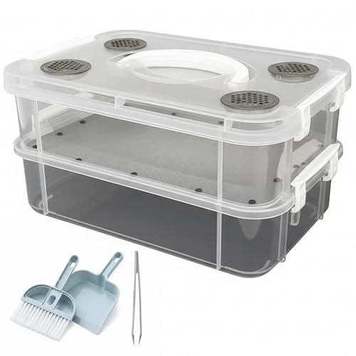 Kit per l'allevamento dei vermi della farina - Contenitore trasparente per animali con separazione automatica dei rifiuti per insetti vivi come scarafaggi e grilli - Include strumenti di pulizia