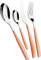 BUGATTI, Glamour, Ensemble de 24 couverts en acier inoxydable 18/10 et manche de couleur MELON. Ensemble de couverts 6 personnes composé de 6 cuillères, 6 fourchettes, 6 couteaux et 6 cuillères à café