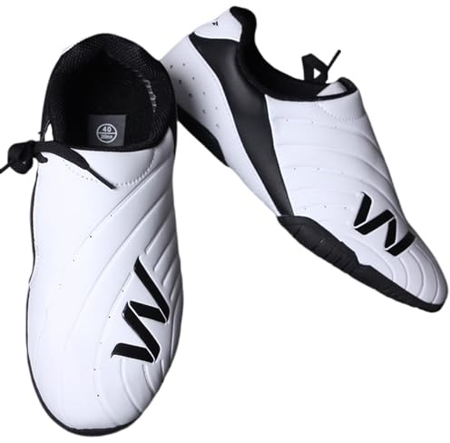 GoldeneAmeisen Chaussures de Taekwondo,Chaussures de Karaté,Kung Fu Taichi Chaussures,Arts Martiaux Baskets,Chaussures de Boxe,Unisexes,Respirant,Antidérapantes,léger,Résistant,pour Adultes,Enfants
