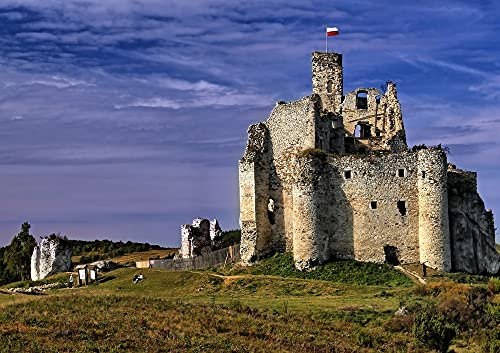 hansepuzzle 64201 - Burg in Mirow Puzzle 130 Teile - Gebäude Puzzle mit hochwertiger Aufbewahrung: Kartonbox und wiederverschließbarem Beutel - Format 28,7 × 20 cm