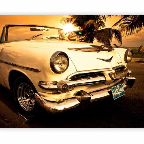 murando - Vlies Fototapete Oldtimer Auto 250x193cm - Foto Tapete Schlafzimmer Wohnzimmer Moderne Vliestapete XXL Wandtapete Motivtapeten 3d Effekt Wand Dekoration - Auto Havanna Kuba Vintage Palme