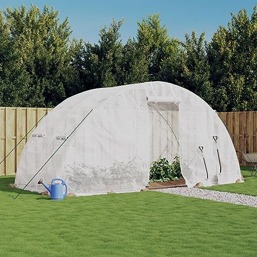 LAPOOH Serre avec Cadre en Acier Blanc 10 m² 5x2x2,3 m,Carport Abri Voiture,Serre Tunnel