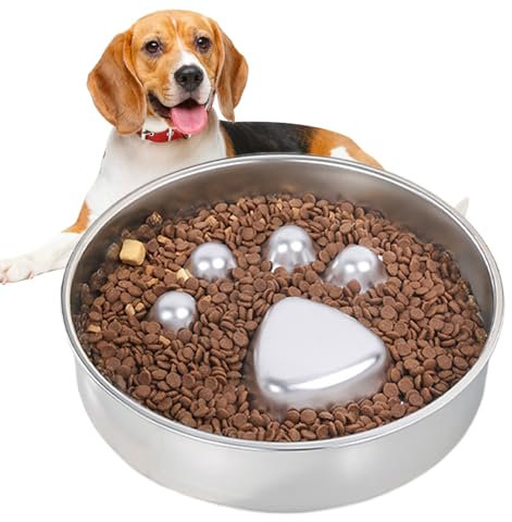 Zunetsutock Compartimento de alimentación Lenta para Mascotas, Plato de Comida para Cachorros, Cuenco Antideslizante de Acero Inoxidable para Perros, antiasfixia, Plato Interactivo Seguro