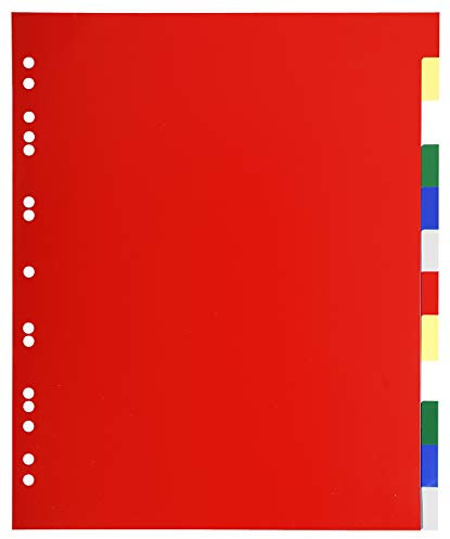 Exacompta 93H Register für DIN A4 MAXI aus langlebigem Kunststoff 12-teilig volle Höhe 24 x 29,7 cm vollfarbig 2 x 6 Farben mit Indexseite zum selbstgestalten Trennblätter