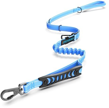 IOKHEIRA Bungee Leads with Car Seat Belt Buckle, Reflective Thread with Traffic Control Handle, Adjustable Dog Leash for Small to Large Dogs - Light Blue