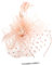 Malaxlx Champagner Fascinator Hut Blume Mesh Federn Haarschmuck Haar Clip Stirnband Tea Party Hochzeit Derby Cocktail Kopfbedeckung Headwear für Damen Mädchen