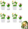 Bavooty Juego de Plantas en Miniatura,Planta Artificial en Miniatura,Miniatura Bonsái Casa de Muñecas,Casa de Muñecas Mini Plantas,No Apto para Menores de 6 años (Flores)
