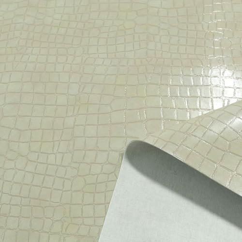 TOLKO 1m Lederimitat mit Lackleder Optik | weiche Premium Meterware | Stuhl Bank Sessel Sofa Sitzbezug 140cm breit | Kunstleder Bezugstoff Polsterstoff Polsterbezug Möbelstoff (Beige)