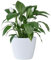 KONZEPT Vaso da fiori grande, bianco, struttura scanalata, 30 cm, vaso per piante da interno, in plastica, ideale per soggiorno, cucina e balcone