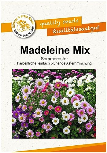 Blumensamen Madeleine Aster Portion