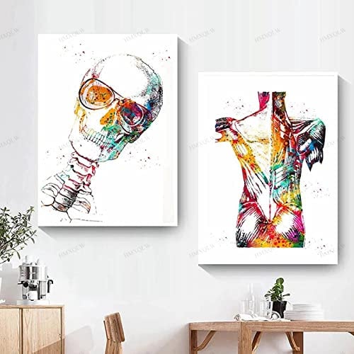 HMXQLW Anatomie Wandbilder Mensch Muskel Aquarell Skelett Bilder kunstdrucke Klinik Deko,Leinwandbilder Poster und Drucke Wandkunst Rahmenlos (2X40x60cm,2)